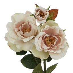 Hill Interiors The Natural Garden Collection Tea Rose Artificial Flower in Pale Pink - thumbnail 3