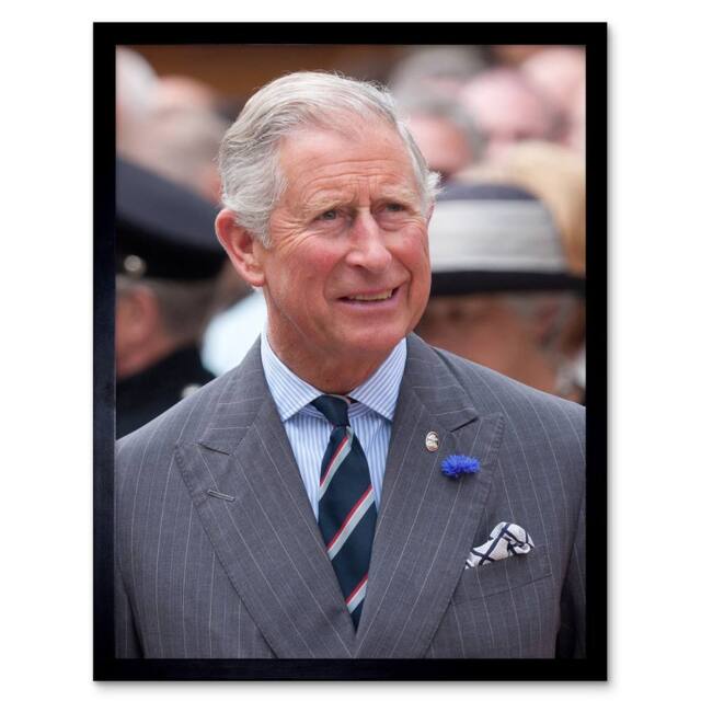 "Artery8 King Charles III Third Scotland United Kingdom Dan Marsh Framed Art in Grey - Size: W12"" x H16""" - image 1
