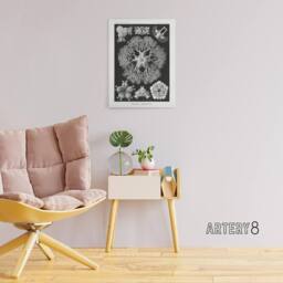 "Artery8 Ophiodea Brittle Stars Haeckel Botanical Canvas Wall Art in Black - Size: W18"" x H24""" - thumbnail 3