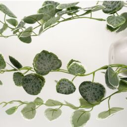 Leaf 90cm Artificial Potted Trailing Hanging Natural Look Plant Realistic - String of Hearts in Green - thumbnail 4