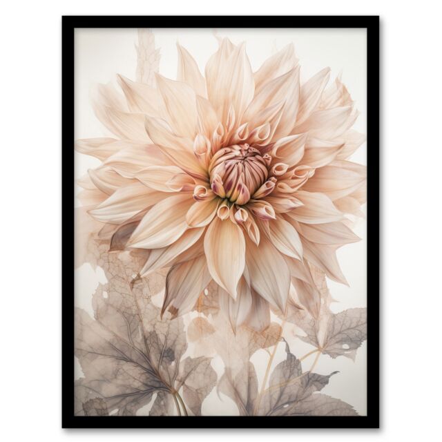 "Artery8 Elegant Dahlia Soft Pastel Flower Aesthetic Calm Pastel Tone Petals Art Print Framed Poster Wall Decor 12x16 inch in Black - Size: W12"" x H16""" - image 1