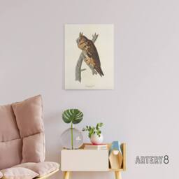 "Artery8 Birds Of America Long Eared Owl Audubon Nature Canvas Wall Art in White - Size: W18"" x H24""" - thumbnail 3