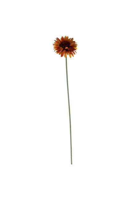 KDMD Essential Burnt Gold Gerbera 10 Pack - image 1