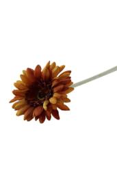 KDMD Essential Burnt Gold Gerbera 10 Pack - thumbnail 6