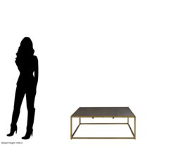Orsina Coffee Table With Textured Shagreen Top, Deep Gold Iron Frame With Minimalist Design, Low Profile Table in Brown - thumbnail 5