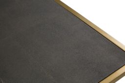Orsina Coffee Table With Textured Shagreen Top, Deep Gold Iron Frame With Minimalist Design, Low Profile Table in Brown - thumbnail 3