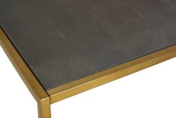 Orsina Coffee Table With Textured Shagreen Top, Deep Gold Iron Frame With Minimalist Design, Low Profile Table in Brown - thumbnail 4