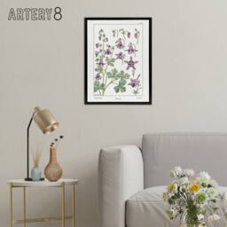"Artery8 Columbine Aquilegia Flower Framed Canvas Wall Art Print Verneuil in White - Size: W18"" x H24""" - thumbnail 3
