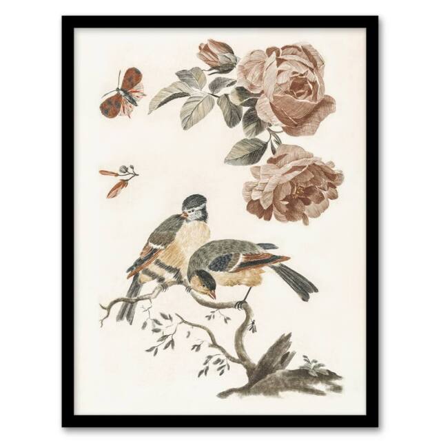 Artery8 Roses Butterfly A Blue & Great Tit Teyler Framed Wall Art Print in White - Size: A4 - image 1