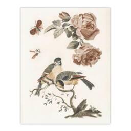 Artery8 Roses Butterfly A Blue & Great Tit Teyler Framed Wall Art Print in White - Size: A4 - thumbnail 3