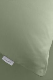 Bianca '200 Thread Count Cotton Percale' Standard Pillowcase Pair in Green - thumbnail 3