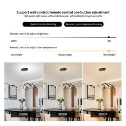NIVOR Dimmable Spiral Pendant Light with Remote, Adjustable Height Chandelier in Jet Black - thumbnail 3