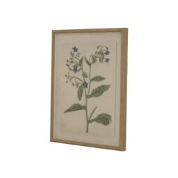 Sostter Borage Linen Wall Art with Beaded Wooden Frame in Natural - thumbnail 1