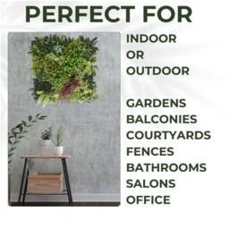 Ark Mat Purple Strand Artificial Plant Wall Panel 50x50cm - Indoor & Outdoor in Green - Size: 50x50 cm - thumbnail 4