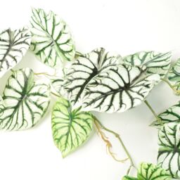 Leaf 6 x 120cm Artificial Hanging Trailing Plant Alocasia Dragon Scale Light in Green - Size: 6 x 120 cm - thumbnail 4