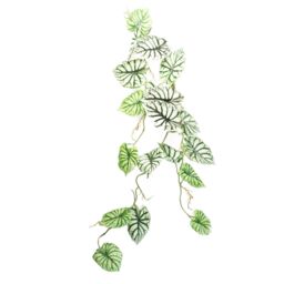 Leaf 6 x 120cm Artificial Hanging Trailing Plant Alocasia Dragon Scale Light in Green - Size: 6 x 120 cm - thumbnail 6