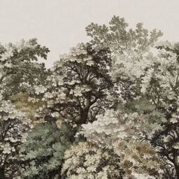 Superfresco Easy Forest Canopy Natural Print To Order 3m x 2.8m Mural in Beige - thumbnail 2