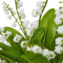 Hill Interiors Lily Of The Valley Artificial Flower in White - thumbnail 3