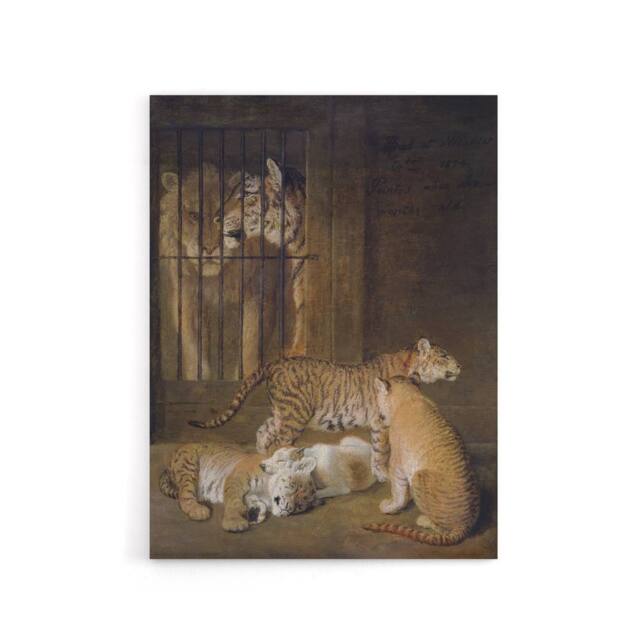 "Artery8 Whelps Lion & Tigress in Zoo Cage Agasse Canvas Wall Art in Brown - Size: W24"" x H32""" - image 1