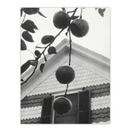 Artery8 Alfred Stieglitz Gable & Apples Vintage Photograph Framed Art Print in Grey - Size: A4 - thumbnail 3