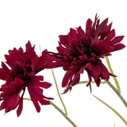 Lemon Pavilion Furniture and Decor Cornflower Stem Artificial Flower - Plastic - L20xW20xH77 cm Burgundy - thumbnail 3