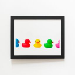 "Warren Reed - Designer Coloured Rubber Ducks Framed Art Print in Black - Size: W20"" x H30""" - thumbnail 2