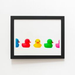 "Warren Reed - Designer Coloured Rubber Ducks Framed Art Print in Black - Size: W20"" x H30""" - thumbnail 1
