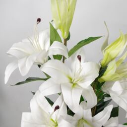 Leaf Artificial Lily Plant Stargazer Style 90cm Pink White Pot in Dark Pink - thumbnail 3