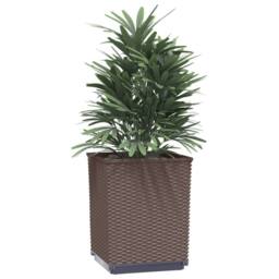 Berkfield Home Planters 2 pcs Brown 30x30x37 cm Polypropylene - Size: 30 x 30 x 37 cm - thumbnail 1