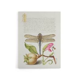 "Artery8 Dragonfly Pear & Carnation Calligraphy Canvas Wall Art Print in White - Size: W18"" x H24""" - thumbnail 1