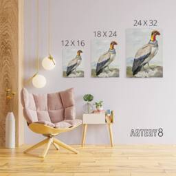 "Artery8 King Vulture Bird Vintage Watercolour Schouman Canvas Wall Art Print - Size: W12"" x H16""" - thumbnail 4
