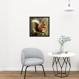 "Artery8 Wall Art Print Trimming Red Squirrel Eating Forest Nature Photo Square Framed Picture 16X16 Inch in Black - Size: W16"" x H16""" - thumbnail 2