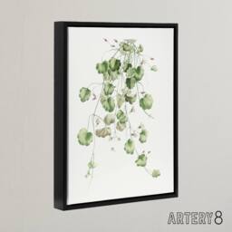"Artery8 Kenilworth Ivy Botanical Redoute Vintage Black Framed Canvas Wall Art in White - Size: W12"" x H16""" - thumbnail 2