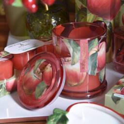 Madison & Mayfair Orchard Apple & Nutmeg Large One Wick Candle in Red - thumbnail 1