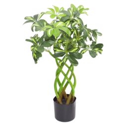 Leaf 70cm Artificial Plant Bonsai Bush Twisted Stem Golden Capella in Green