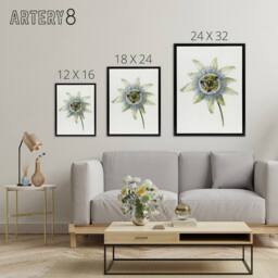 "Artery8 Passion Flower Bloom Floral Drawing Bernard Black Framed Canvas Art in White - Size: W12"" x H16""" - thumbnail 4