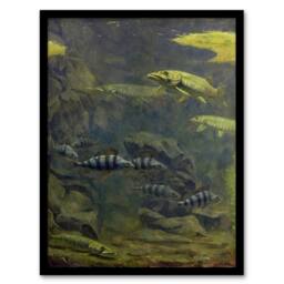 Artery8 Gerrit Willem Dijsselhof Framed Wall Art Pike & Perch in Aquarium in Green - Size: A4 - thumbnail 1
