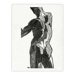 Artery8 Reijer Stolk Anatomical Study Of Gluteal Muscles Framed Wall Art Print in White - Size: A3 - thumbnail 3
