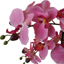 Leaf Artificial Orchid with Glass Planter Pink Botanik in Green - thumbnail 2