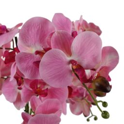 Leaf Artificial Orchid with Glass Planter Pink Botanik in Green - thumbnail 3