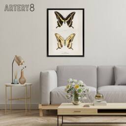 "Artery8 Giant Swallowtail Butterfly Sherman Denton Framed Canvas Wall Art in White - Size: W24"" x H32""" - thumbnail 3