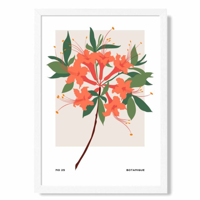 ARTZE Orange Firecracker Plant Flower Market Simplicity Framed Print SIZE: A3 with White Frame - Size: A4 - image 1