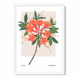ARTZE Orange Firecracker Plant Flower Market Simplicity Framed Print SIZE: A3 with White Frame - Size: A4 - thumbnail 1