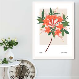 ARTZE Orange Firecracker Plant Flower Market Simplicity Framed Print SIZE: A3 with White Frame - Size: A4 - thumbnail 2