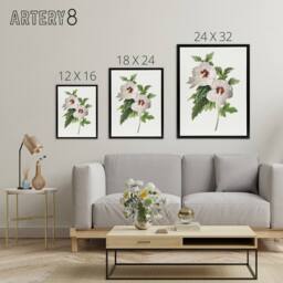 "Artery8 Hibiscus Flower Illustration Redoute Black Framed Canvas Wall Art in White - Size: W12"" x H16""" - thumbnail 4