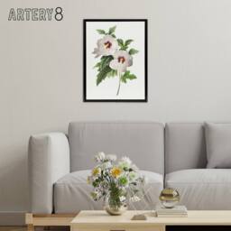 "Artery8 Hibiscus Flower Illustration Redoute Black Framed Canvas Wall Art in White - Size: W12"" x H16""" - thumbnail 3