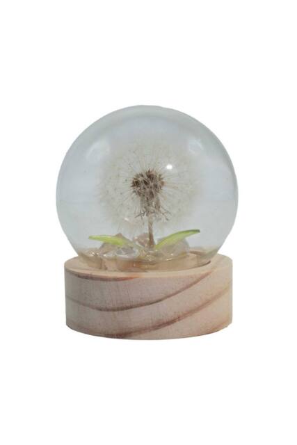 KDMD Floral Glow Garden Dome - Dandelion LED Decor for Calm Spaces in White - image 1