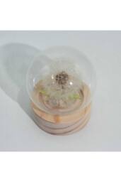 KDMD Floral Glow Garden Dome - Dandelion LED Decor for Calm Spaces in White - thumbnail 5