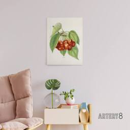 "Artery8 Vintage Illustration of Bigarreau Cherries Wright Canvas Art Print in White - Size: W12"" x H16""" - thumbnail 3