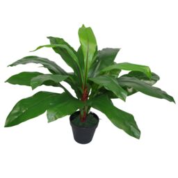 Leaf 60cm Bushy Large Artificial Bird's Nest Fern Plant in Green - thumbnail 3